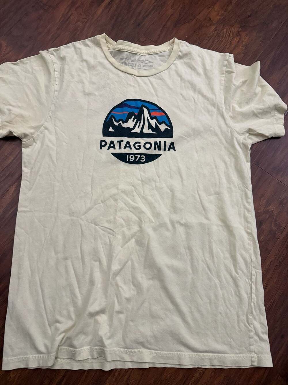 Patagonia Fitz Roy Scope Organic Cotton Slim Fit Graphic T-Shirt Medium